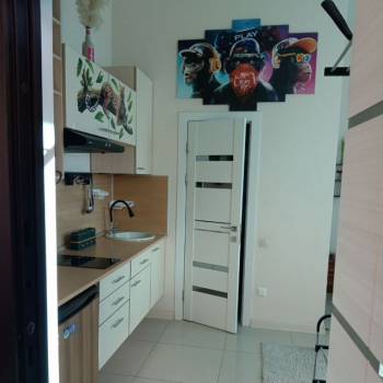 Сдается 1-комнатная квартира, 24,3 м²