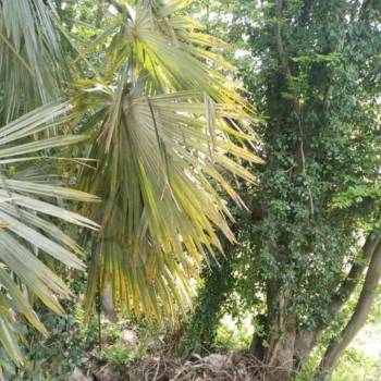 Продается Участок, 780 м²