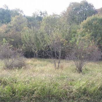 Продается Участок, 510 м²