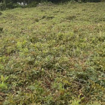 Продается Участок, 430 м²