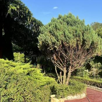 Продается Дом, 195 м²