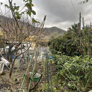 Продается Участок, 1800 м²