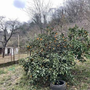 Продается Участок, 1800 м²