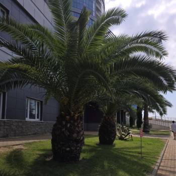 Сдается Многокомнатная квартира, 50 м²