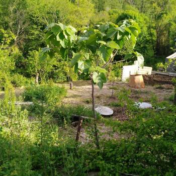 Продается Участок, 540 м²