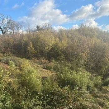 Продается Участок, 800 м²