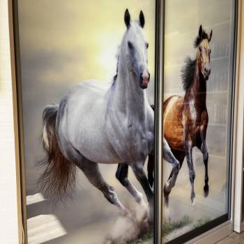 Сдается Многокомнатная квартира, 156 м²