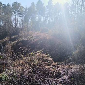 Продается Участок, 600 м²