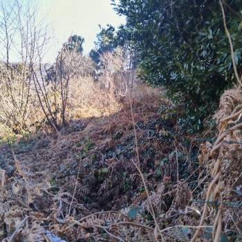 Продается Участок, 600 м²