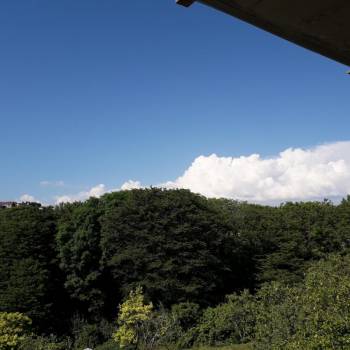 Сдается Комната, 20 м²