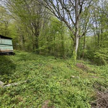 Продается Участок, 4500 м²