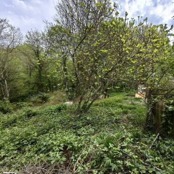 Продается Участок, 4500 м²