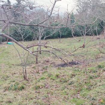 Продается Участок, 830 м²