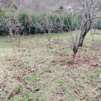 Продается Участок, 830 м²