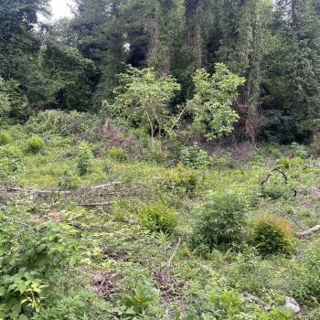 Продается Участок, 820 м²