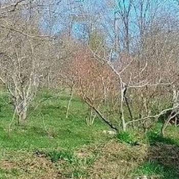 Продается Участок, 2000 м²