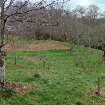 Продается Участок, 2000 м²