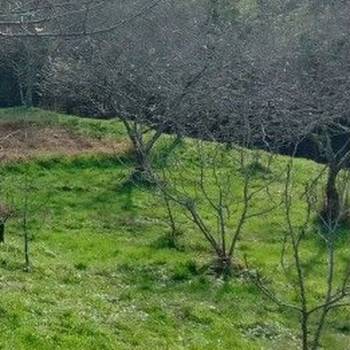 Продается Участок, 2000 м²