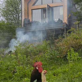 Сдается Дом, 36 м²