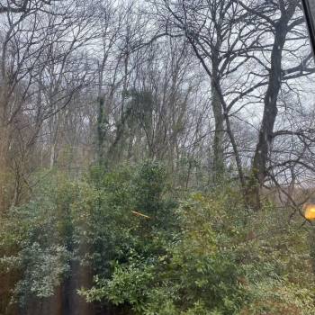 Продается 1-комнатная квартира, 53,9 м²