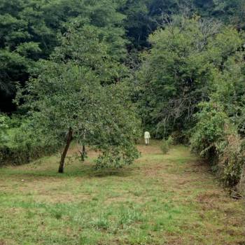 Продается Участок, 600 м²