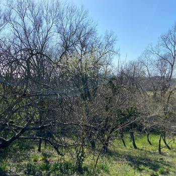 Продается Участок, 950 м²