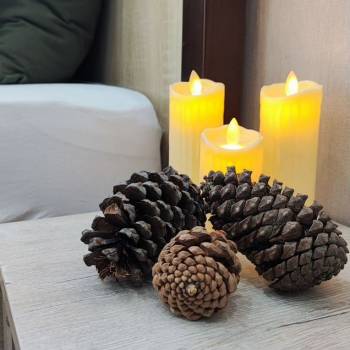 Сдается 1-комнатная квартира, 25,6 м²