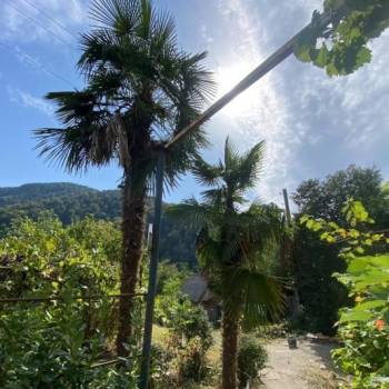 Продается Участок, 1000 м²