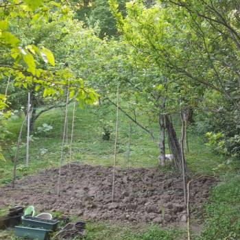 Продается Участок, 900 м²