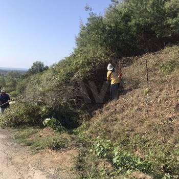 Продается Участок, 780 м²