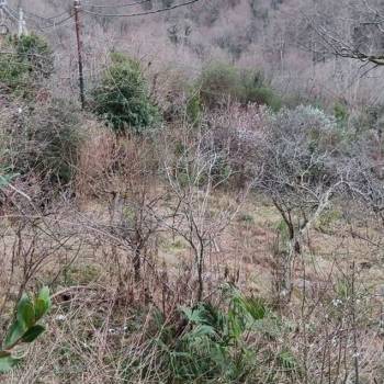 Продается Участок, 650 м²