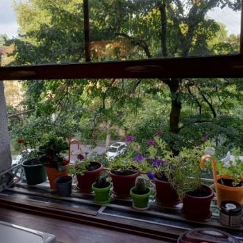 Сдается Посуточно, 50 м²