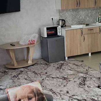 Сдается Комната, 25 м²