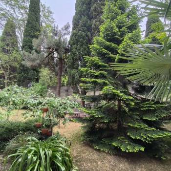 Продается Многокомнатная квартира, 230 м²