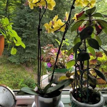 Продается 2-х комнатная квартира, 80 м²