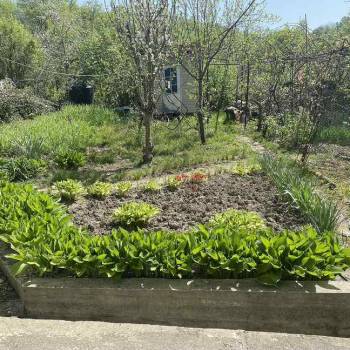 Сдается Дом, 200 м²