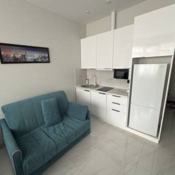 Сдается 1-комнатная квартира, 24,2 м²