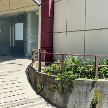 Сдается Нежилое помещение, 31,3 м²