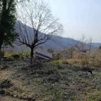 Продается Участок, 880 м²