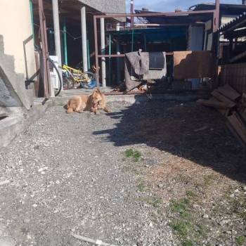 Продается Дом, 44 м²