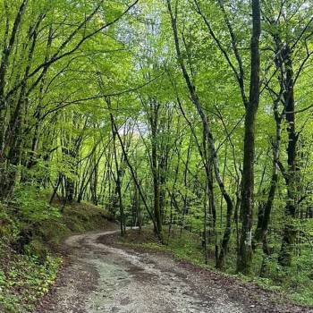 Продается Участок, 500 м²