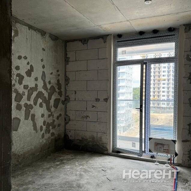 Фотография №3