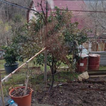 Продается Дом, 100 м²