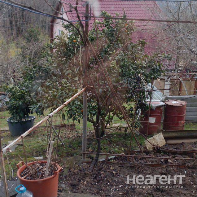 Продажа дома, СНТ Факел, Каштаны, собственник