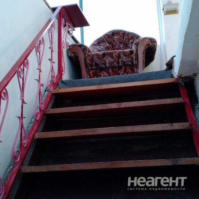 Фотография №3