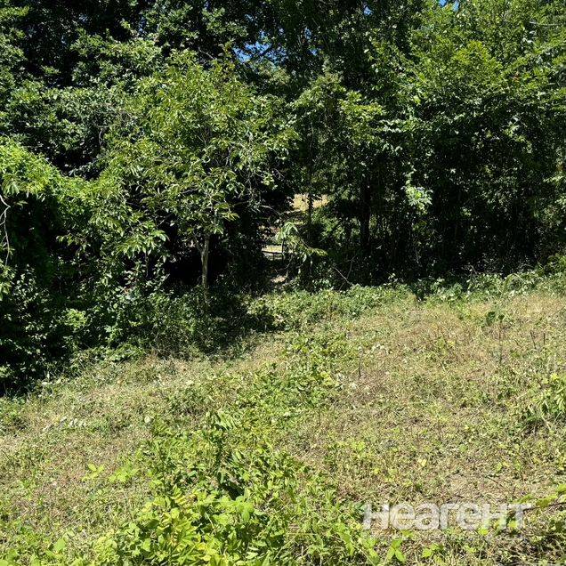 Продам участок, с. Волковка, владелец