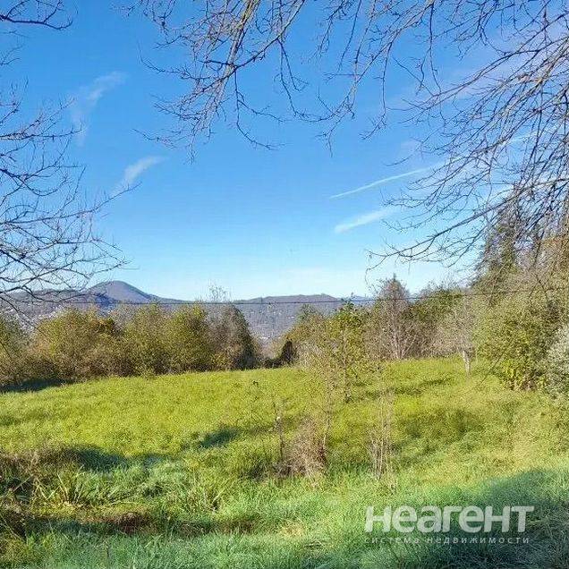 Фотография №2