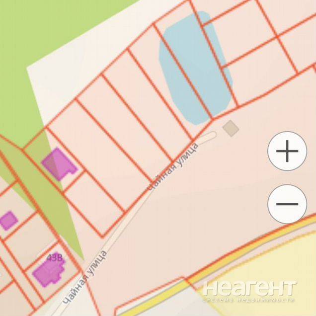 Фотография №3