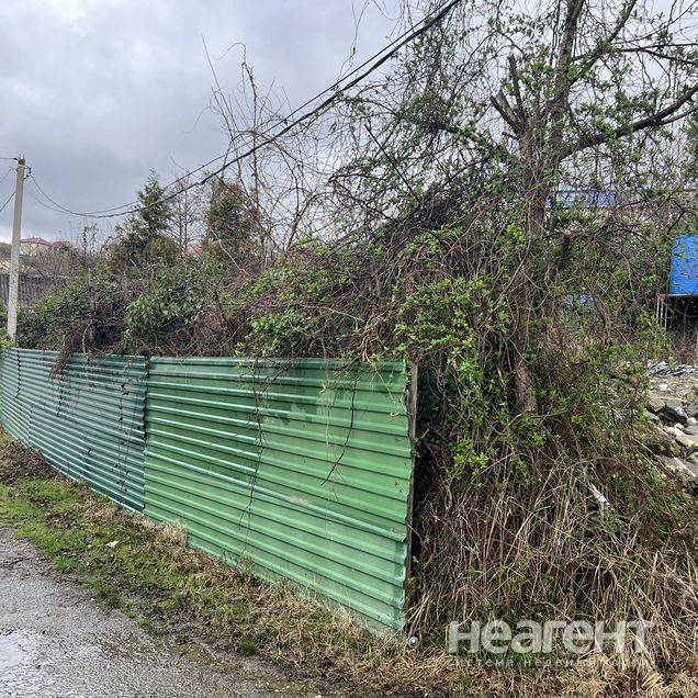 Фотография №2