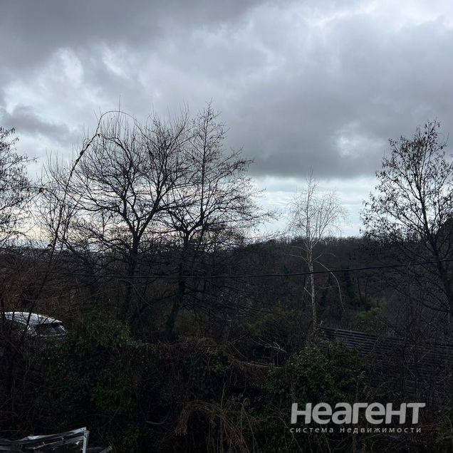 Фотография №3